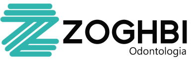 LOGO ZOGHBI- T